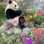 ヒメ日記 2025/03/23 14:35 投稿 りあん 国分寺人妻研究会