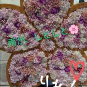 ヒメ日記 2025/03/29 19:09 投稿 りあん 国分寺人妻研究会