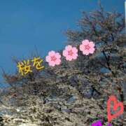 ヒメ日記 2025/04/06 06:22 投稿 りあん 国分寺人妻研究会