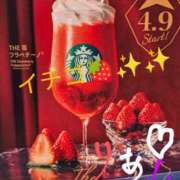 ヒメ日記 2025/04/06 14:24 投稿 りあん 国分寺人妻研究会