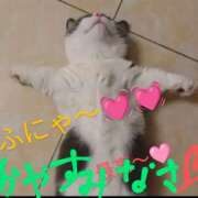 ヒメ日記 2025/04/07 03:05 投稿 りあん 国分寺人妻研究会