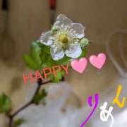 ヒメ日記 2025/04/08 22:17 投稿 りあん 国分寺人妻研究会