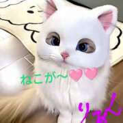 ヒメ日記 2025/04/10 01:01 投稿 りあん 国分寺人妻研究会