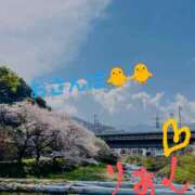 ヒメ日記 2025/04/10 10:37 投稿 りあん 国分寺人妻研究会