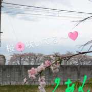 ヒメ日記 2025/04/11 12:02 投稿 りあん 国分寺人妻研究会