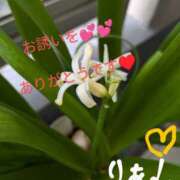 ヒメ日記 2025/04/13 21:21 投稿 りあん 国分寺人妻研究会