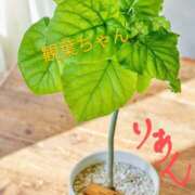 ヒメ日記 2025/04/19 23:38 投稿 りあん 国分寺人妻研究会