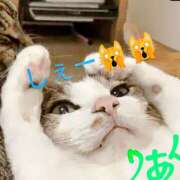 ヒメ日記 2025/04/21 01:55 投稿 りあん 国分寺人妻研究会