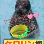 ヒメ日記 2025/04/28 11:21 投稿 りあん 国分寺人妻研究会