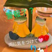 ヒメ日記 2025/05/02 16:10 投稿 りあん 国分寺人妻研究会