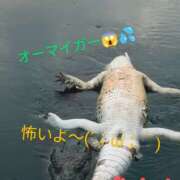 ヒメ日記 2025/05/09 14:07 投稿 りあん 国分寺人妻研究会