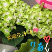 ヒメ日記 2025/05/16 14:09 投稿 りあん 国分寺人妻研究会