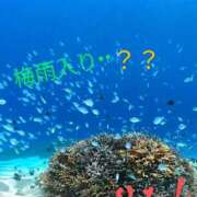 ヒメ日記 2025/05/19 11:38 投稿 りあん 国分寺人妻研究会