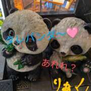 ヒメ日記 2025/05/20 07:00 投稿 りあん 国分寺人妻研究会