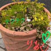 ヒメ日記 2025/05/23 13:38 投稿 りあん 国分寺人妻研究会