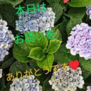 ヒメ日記 2025/05/24 22:02 投稿 りあん 国分寺人妻研究会