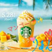 ヒメ日記 2025/05/28 12:28 投稿 りあん 国分寺人妻研究会