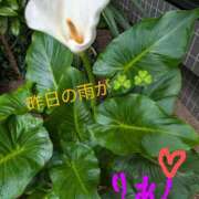 ヒメ日記 2025/06/04 18:34 投稿 りあん 国分寺人妻研究会