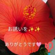 ヒメ日記 2025/06/11 22:28 投稿 りあん 国分寺人妻研究会