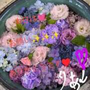 ヒメ日記 2025/06/20 22:26 投稿 りあん 国分寺人妻研究会