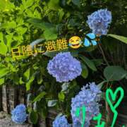 ヒメ日記 2025/06/28 16:59 投稿 りあん 国分寺人妻研究会