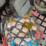 ヒメ日記 2025/07/02 14:03 投稿 りあん 国分寺人妻研究会