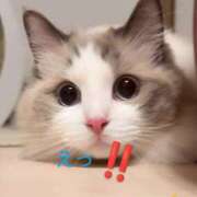 ヒメ日記 2025/07/19 10:34 投稿 りあん 国分寺人妻研究会