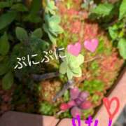 ヒメ日記 2025/07/20 12:30 投稿 りあん 国分寺人妻研究会