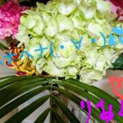 ヒメ日記 2025/07/28 13:18 投稿 りあん 国分寺人妻研究会