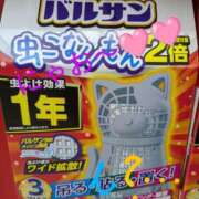 ヒメ日記 2025/08/06 10:50 投稿 りあん 国分寺人妻研究会