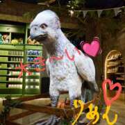 ヒメ日記 2025/08/12 14:54 投稿 りあん 国分寺人妻研究会