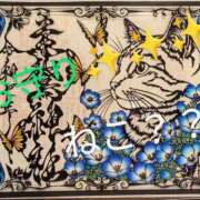 ヒメ日記 2025/08/12 19:19 投稿 りあん 国分寺人妻研究会