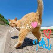 ヒメ日記 2025/08/15 08:56 投稿 りあん 国分寺人妻研究会