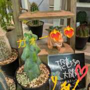 ヒメ日記 2025/08/29 12:21 投稿 りあん 国分寺人妻研究会