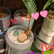 ヒメ日記 2025/09/02 00:14 投稿 りあん 国分寺人妻研究会