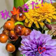 ヒメ日記 2025/09/19 11:28 投稿 りあん 国分寺人妻研究会