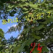 ヒメ日記 2025/09/24 17:17 投稿 りあん 国分寺人妻研究会