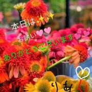 ヒメ日記 2025/09/25 22:05 投稿 りあん 国分寺人妻研究会