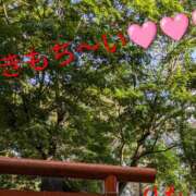 ヒメ日記 2025/10/01 01:28 投稿 りあん 国分寺人妻研究会