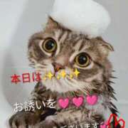 ヒメ日記 2025/10/07 22:00 投稿 りあん 国分寺人妻研究会