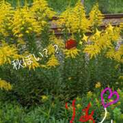 ヒメ日記 2025/10/21 12:10 投稿 りあん 国分寺人妻研究会