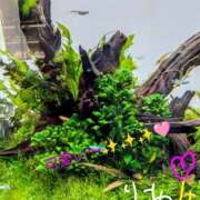 ヒメ日記 2025/10/26 12:56 投稿 りあん 国分寺人妻研究会