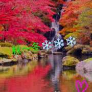 ヒメ日記 2025/11/09 13:56 投稿 りあん 国分寺人妻研究会