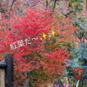 ヒメ日記 2025/11/11 19:39 投稿 りあん 国分寺人妻研究会