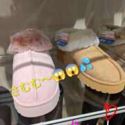 ヒメ日記 2025/11/19 11:02 投稿 りあん 国分寺人妻研究会