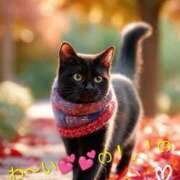 ヒメ日記 2025/11/23 11:03 投稿 りあん 国分寺人妻研究会