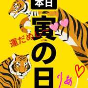 ヒメ日記 2025/12/11 14:39 投稿 りあん 国分寺人妻研究会