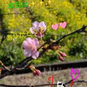 ヒメ日記 2026/01/28 22:29 投稿 りあん 国分寺人妻研究会