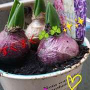 ヒメ日記 2026/02/12 10:43 投稿 りあん 国分寺人妻研究会