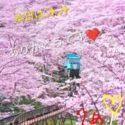 ヒメ日記 2026/02/24 22:20 投稿 りあん 国分寺人妻研究会